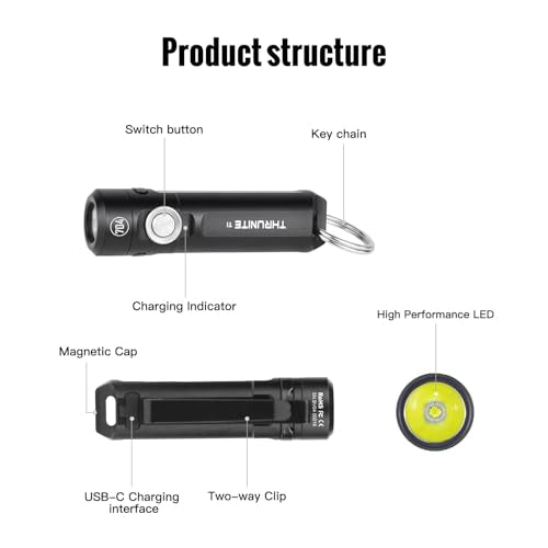 ThruNite Ti Keychain Flashlight, USB-C Rechargeable EDC Pocket Light, 650 Lumens with Magnetic Tailcap, 5 Modes, IPX-6 Waterproof Mini Flashlight for Camping, Everyday Carry (Black) - color: Black Cool White