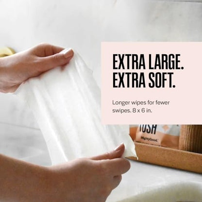 Wipe That Tush On-The-Go Flushable Wipes - 1 Packs of 30 Individually Wrapped Travel Wipes - Fragrance Free & Hypoallergenic - Extra Large & Soft - Aloe & Vitamin E - Septic-Safe - Travel Essentials - size: 30 Count (Pack of 1)