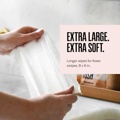 Wipe That Tush On-The-Go Flushable Wipes Bulk Pack - 4 Packs of 30 Individually Wrapped Travel Wipes, 120 Total - Fragrance Free - Hypoallergenic With Aloe & Vitamin E - Septic-Safe - size: 30 Count (Pack of 4)