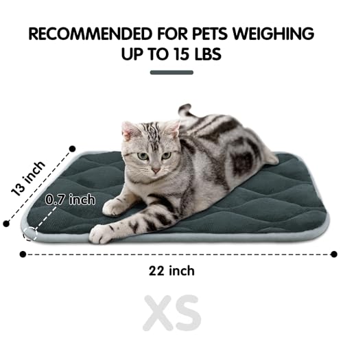 furrybaby Dog Bed Mat Flat Crate Mat with Anti-Slip Bottom Machine Washable Pet Kennel Pad for Dog Sleeping (XS 22x13'', Grey Mat) - size: 22.0"L x 13.0"W x 0.7"Th