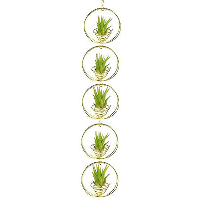Air Plant Hanging Holder Planter - Plant Hanger Display Frame DIY Kit Aluminum Wire Indoors Outdoors Plants Not Included (Gloden) - color: Gloden