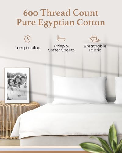 Good Sleep Bedding Olympic Queen Sheets Set, 100% Egyptian Cotton, Luxury 4 Pc Super Queen Sheets Sets, Breathable, Snug Fit, 16" Deep Pocket Fitted Sheet, 2 Pillowcases & 1 Flat Sheet, White - color: White, size: Olympic Queen (66 x 80)