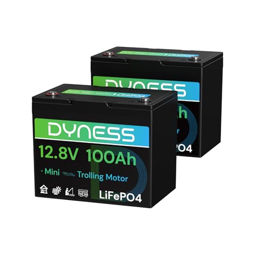 Dyness 12V 100Ah Mini LiFePO4 Battery 2 Pack Group 24, 12 Volt Deep Cycle Lithium Battery with 100A BMS, Low-Temp Protection & 10 Years Lifespan for RV, Boat, Trolling Motor, Solar Off-Grid, Golf Cart - style: 12V 100Ah Mini(2 Pack)