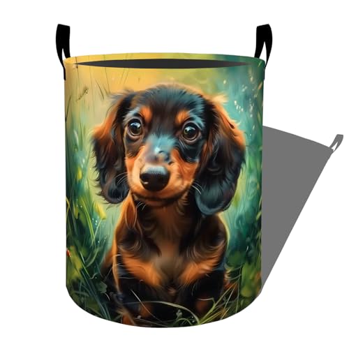 Cute Dachshund in Sunny Grass Laundry Basket with Handles, 19.7"x15.7" Clothes Foldable Laundry Hamper Organizer for Dorm Nursery Bedroom Bathroom Decor, Toy Storage Bin for Kids - style: Dachshund53