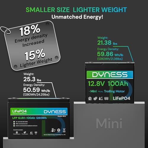 Dyness 12V 100Ah Mini LiFePO4 Battery 4 Pack Group 24, 12 Volt Deep Cycle Lithium Battery with 100A BMS, Low-Temp Protection & 10 Years Lifespan for RV, Boat, Trolling Motor, Solar Off-Grid, Golf Cart - style: 12V 100Ah Mini(4 Pack)