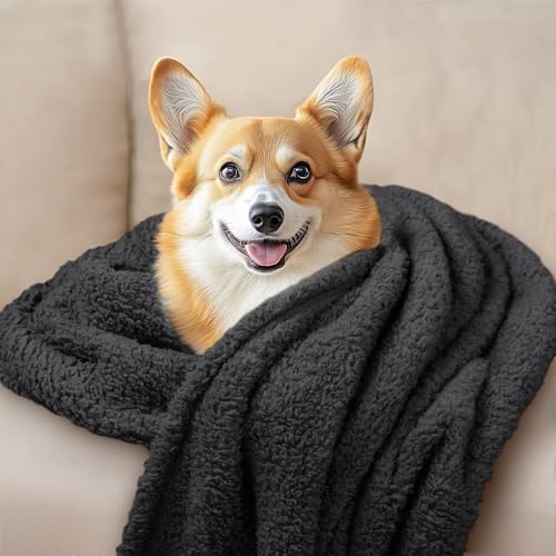1 Pack 3 Calming Blankets Fluffy Premium Fleece Pet Blanket Soft Sherpa Throw for Dog Puppy Cat Black Large (41"x31") - color: Black, size: Large (Pack of 3)