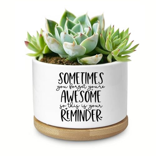 Cute Succulent Planter, Flower Cactus Plant Pot Gifts, Thank You Inspirational Gifts for Women Men Coworkers Teachers Plant Lovers, Office Home Windowsill Indoor Decor (No Plants) - color: Somtiems You Forget