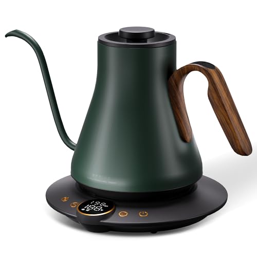 Cocinare Gooseneck Electric Kettle, ±1°F Precise Temperature Control, 1500W Fast Heating, Pour Over Coffee & Tea Kettle with Brew Timer & Keep Warm, Stainless Steel, 0.9L (Delacroix Green) - color: Delacroix Green