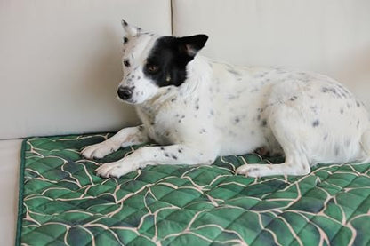 Waterproof Blanket, 29" x 34” - Seat Cover for Dogs and Pets. Ideal for Small and Medium Pet Crate Blankets, Settle mat, Diaper Changing and Playmat for Babies - color: Red and Green