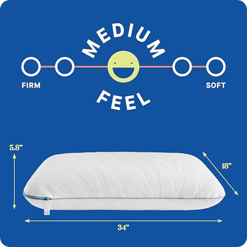 Sealy Dreamlife King Size Memory Foam Cooling Pillow with Surface Guard Technology, Removable Machine-Washable Cover, 1 Year Limited Warranty, White - size: King, style: 1 pack