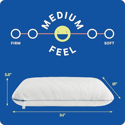 Sealy Dreamlife King Size Memory Foam Cooling Pillow with Surface Guard Technology, Removable Machine-Washable Cover, 1 Year Limited Warranty, White - size: King, style: 1 pack