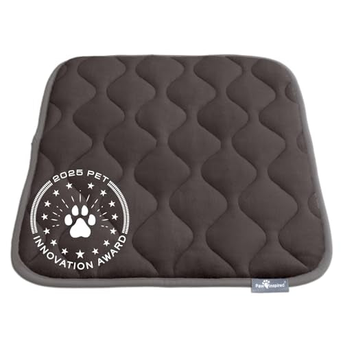 Paw Inspired Washable Padded Crate Mats for Dogs | 23” x 17” Pad, Fits 24-inch Kennels | Leakproof, Waterproof Bottom, Plush Pet Beds (Gray) - color: Gray, size: 24 Inch