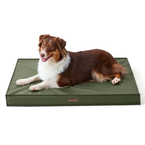 LE SURE Outdoor Waterproof Dog Bed Medium Size Dogs, Orthopedic Egg Crate Foam Pet Bed with Oxford Fabric Surface and Removable Washable Cover, Pet Mat 30''x20'', Green - color: Olive Green, size: 30"L x 20"W x 3"Th