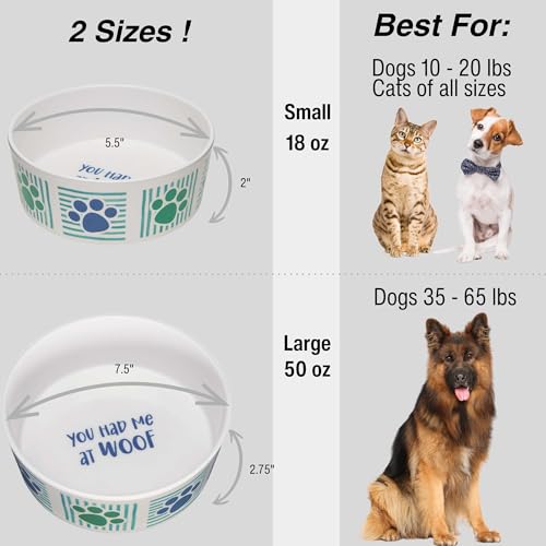 Loving Pets Dolce Moderno Dog Bowl – Modern Melamine Dog Food Bowl & Dog Water Bowl – Durable, Non-Slip Pet Dish for Small & Medium Dogs – Dishwasher Safe Dog Bowl (Small, 16 oz) - color: Had Me at Woof, size: Small