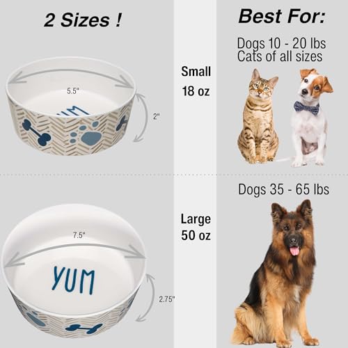 Loving Pets Dolce Moderno Dog Bowl – Modern Melamine Dog Food Bowl & Dog Water Bowl – Durable, Non-Slip Pet Dish for Small & Medium Dogs – Dishwasher Safe Dog Bowl (Large, 47 oz) - color: Yum Chevron, size: Large