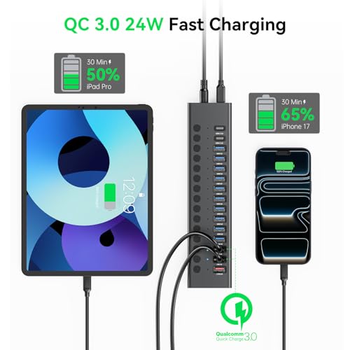 Powered USB Hub, AGEEN 16-Port USB 3.0 Hub (10 USB-A 3.0+2 QC 24W Fast Charging+2 Smart Charging+2 USB-C 3.0 Ports), 12V/8A 96W UL Certified Power Adapter for PC, Laptop, HDD, Flash Drive (16-Port) - size: 16-Port
