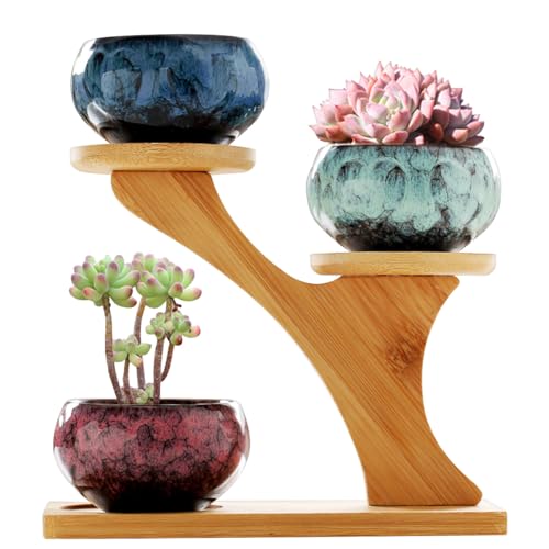 YYW Succulent Pots with Drainage Ceramic Plant Pot Indoor Small Flower Cactus Pots with Tree Tier Bamboo Stand Shallow Planter for Garden Windows Home Office Decor Plant Lovers Gifts - color: 5