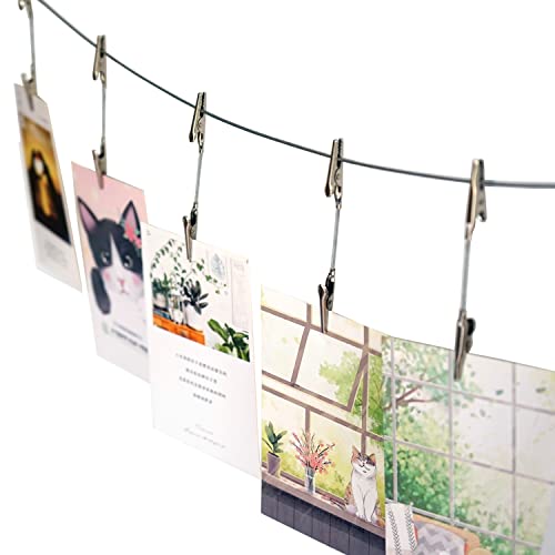 TFu Wall Hanging Photo Display, DIY Picture Photo Frame String with 12 Clips for Hanging Photos Notes and Artworks (Adjustable Alligatory Clip) - size: Adjustable Alligatory Clip