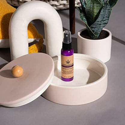 Cannabolish Lavender Odor Removing Spray and Air Freshener, 2 fl. oz. Travel Size
