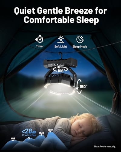 Misting Fan, Portable Camping Fans with 9oz Water Tank, 24000mAh Rechargeable Fan with 4 Speed, Battery Powered Fans with 120H Cooling, Last 5H Mist, 2 Mist Modes, Light, Outsides/Summer Essential - color: Black