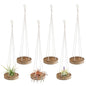 6 Pcs Hanging Wooden Air Plant Holder - 3" Round Airplants Live Hanger with Ropes, Rustic Tillandsia Succulent Display Container Stand for Home Office Decor Housewarming Gift (Excluding Plants)
