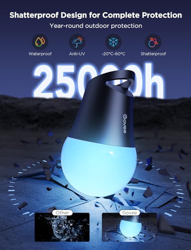 Govee Smart Outdoor String Lights 2, 96ft RGBIC Outdoor Lights with Dimmable Warm White LED Bulbs, 47 Scene Modes for Patio, Backyard, IP65 Waterproof, Compatible with Alexa, App Control - size: 96ft