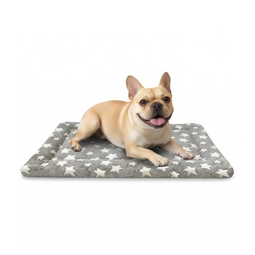 Dog Bed Mat, Dual-Sided Dog Crate Bed Mat - Ultra Soft & Machine Washable Kennel Pad for Small Dogs, All-Season Comfort Pet Bed for Crates, Travel, and Home, Star Gray, 24 x 16 Inch - color: Star Gray, size: Small 24 x 16 x 1.5 in