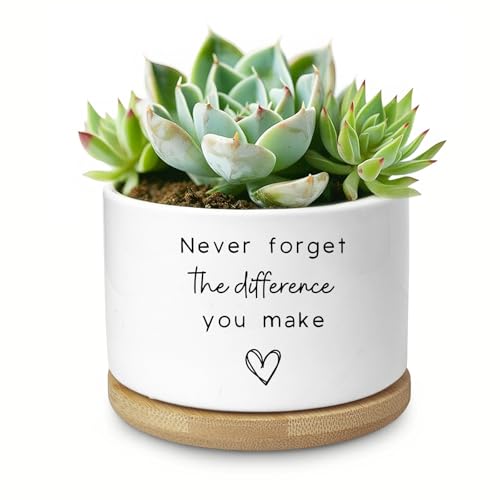 Cute Succulent Planter, Flower Cactus Plant Pot Gifts, Going Away Farewell Thank You Inspirational Employee Appreciation Gifts for Women Men Coworkers Boss Lady Manager (No Plants) - color: Never Forget