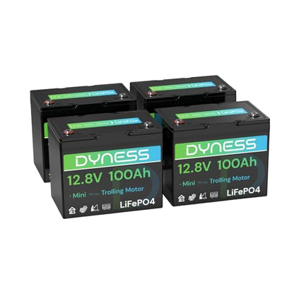 Dyness 12V 100Ah Mini LiFePO4 Battery 4 Pack Group 24, 12 Volt Deep Cycle Lithium Battery with 100A BMS, Low-Temp Protection & 10 Years Lifespan for RV, Boat, Trolling Motor, Solar Off-Grid, Golf Cart - style: 12V 100Ah Mini(4 Pack)
