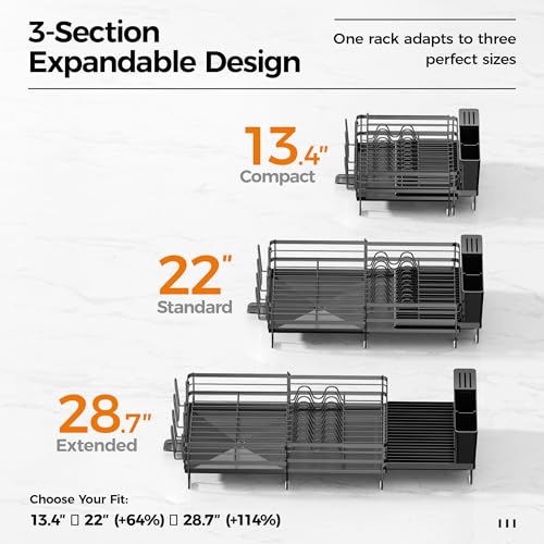 Delamu Stainless Steel Dish Drying Rack, Expandable Dish Drainer, Anti-Rust Large Dish Racks for Kitchen Counter, Dish Strainers with Drainboard, Utensil & Cup Holder, 13.4"-28.7" L x 11.8" W, Black - color: Black