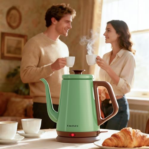 DmofwHi Gooseneck Electric Kettle(1.0L), 100% Stainless Steel BPA Free Classic Pour Over Coffee Kettle | Tea Kettle - Green - color: Green