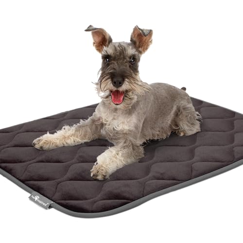 Paw Inspired Washable Padded Crate Mats for Dogs | 35” x 22” Pad, Fits 36-inch Kennels | Leakproof, Plush Pet Beds (Gray) - color: Gray, size: 36 Inch