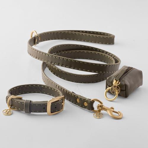 Rein - The Recycled Vegan Leather Pouch Durable Heavy Duty Bag Holder, Leash Attachment Made With Sustainable Materials, Custom Hardware for Small, Medium & Large Dogs, Chestnut Heather - color: Chestnut Heather, size: One Size