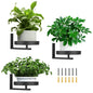 3 Pack Wall Planters for Indoor Plants,Wall Mounted Plant Holder, Metal wall plant holder,Metal Wall Plant Holder—Space-Saving and Ideal for Decorating Bedrooms, Living Rooms, Kitchens, Offices, and Bathrooms