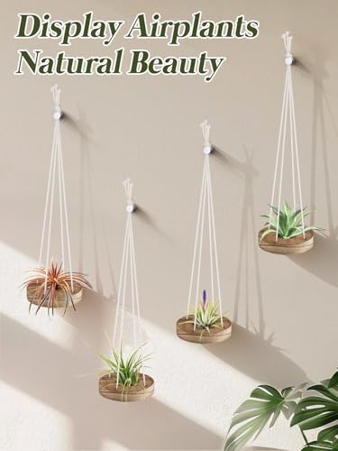6 Pcs Hanging Wooden Air Plant Holder - 3" Round Airplants Live Hanger with Ropes, Rustic Tillandsia Succulent Display Container Stand for Home Office Decor Housewarming Gift (Excluding Plants)