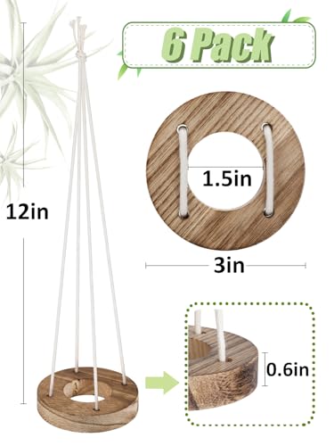 6 Pcs Hanging Wooden Air Plant Holder - 3" Round Airplants Live Hanger with Ropes, Rustic Tillandsia Succulent Display Container Stand for Home Office Decor Housewarming Gift (Excluding Plants)