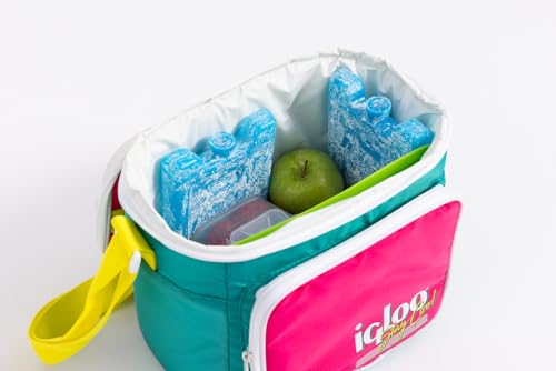 Igloo Maxcold Ice Block - color: 4pk small