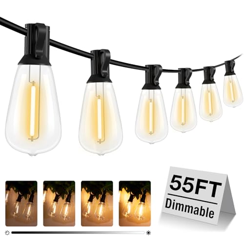 litogo 55FT LED Outdoor String Lights with Dimmer, Waterproof Patio Lights with ST38 Vintage Edison Bulbs, Warm White Outside Hanging Light with Timer for Yard Gazebo Party - color: Warm White, size: 55FT