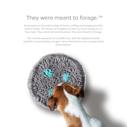 Pet Parents Forager Bowls, Slow Feeder Dog & Cat Bowls with SoftSnout™ & Non-Slip Backing, Portable Pet Puzzle Toys & Snuffle Mats, 30 oz, Modern Grey (Meadow Ponds)