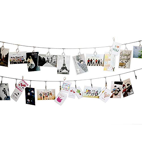 Multi-Purpose Steel Wall Hanging Photo Display Cable Wire Rod String with 12 Clips for Hanging Photos Notes and Artworks (Alligator Clip) - size: alligator clip