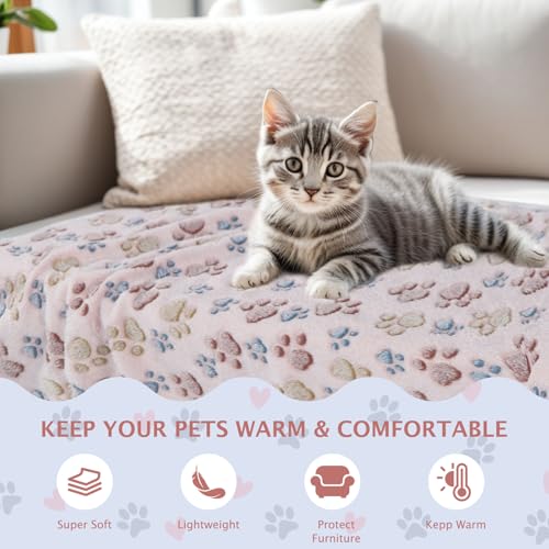 BVAGSS 6 Pack Small Dog Blanket, Super Soft Warm Pet Cover Blankets, Paw Print Puppy Fleece Flannel Blanket for Small Medium Dogs and Cats MW003 - color: Beige Paw, size: 6 Pack of 29.9x20.5 Inches