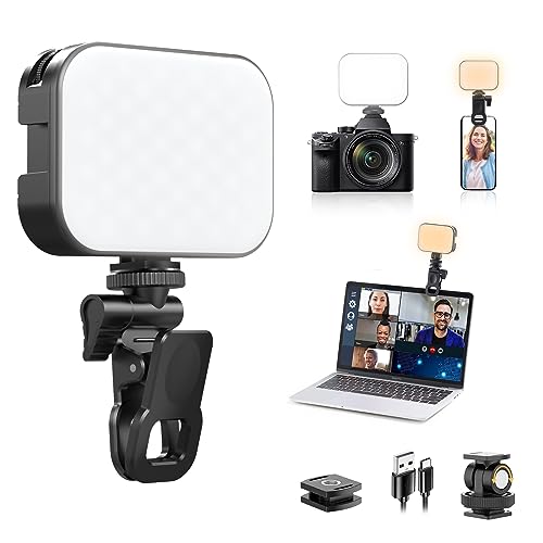 Ulanzi VL100X Selfie Light, Clip LED Light Panel for Phone/Laptop/Tablet/Computer, Bi-Color Portable Clip Camera Light with Dimmable 2500-6500K with 2000mAh Battery for Video Conference/Picture - color: VL100X Bi-Color