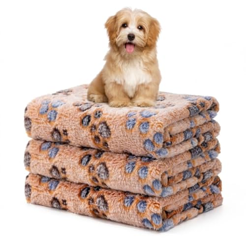 1 Pack 3 Blankets Fluffy Premium Fleece Soft Pet Blanket Flannel Throw for Cat Dog Puppy (Medium 30x20'', Paw-Brown) - color: Brown,brown,brown, size: 30x20 inch(Pack of 3)