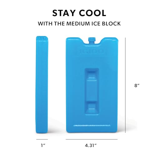 Igloo Maxcold Ice Block - color: 2PK Medium