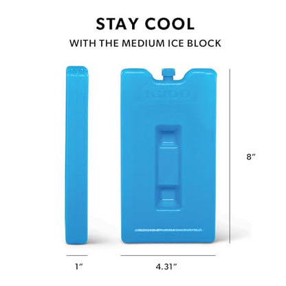 Igloo Maxcold Ice Block - color: 2PK Medium