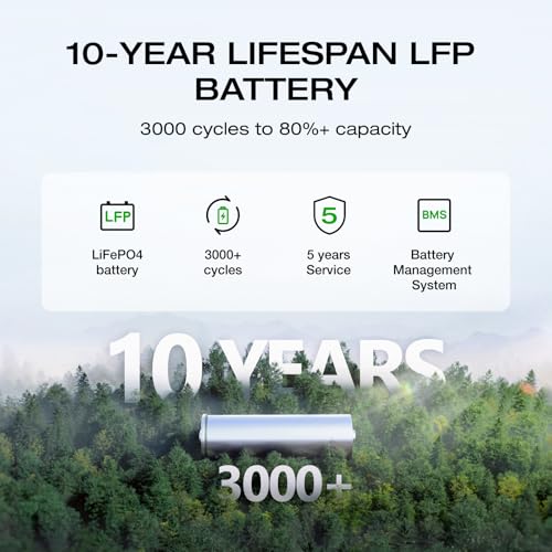 EF ECOFLOW Portable Power Station DELTA 2, 1024Wh LiFePO4 (LFP) Battery, 1800W AC/100W USB-C Output, Solar Generator(Solar Panel Optional) for Home Backup Power, Camping & RVs - style: DELTA 2
