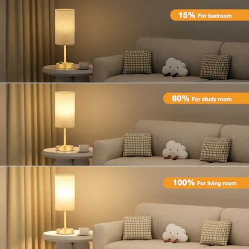 Fenmzee Touch Table Lamp - Cream, 3-Way Dimmable, USB A + C Charging, AC Outlet, 17.4inch Medium, Gold Metal Base - color: Cream - Gold, size: 17.4" Touch Control