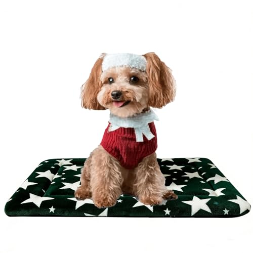 Dog Bed Mat, Reversible Dog Crate Pad with Washable Kennel Mat and Soft Foam, Pet Bed for Dogs & Cats, for Crates Carriers & Travel (Big&Small Stars Green, 24" L*18" W*1.5" Th) - color: Big&Small Stars Green, size: 24"L*18"W*1.5"Th