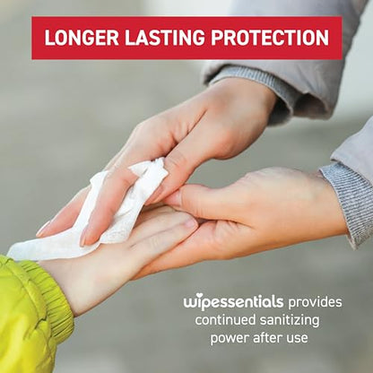 WipeEssentials Hand Sanitizer Wipes for Adults & Kids - 90 Count, 3 Packs | Alcohol-Free, Moisturizing Sanitizing Wipes with Aloe Vera & Vitamin E - Unscented & Travel Size With No Soapy Residue - size: 30 Count (Pack of 3)