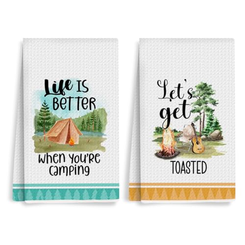 Camping Kitchen Towels Sets of 2 Watercolor Style Dish Towels Camper Absorbent Hand Towels Kit RV Kitchen Essentials 24 x 14 Inches for Cool Camping Gifts Accessories for RV Campers - color: Multi 0306
